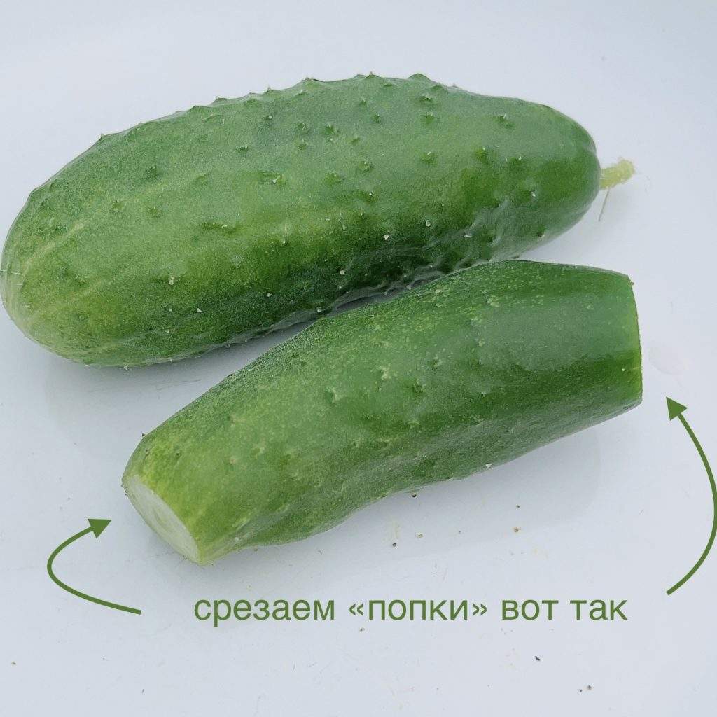 огурцы